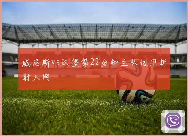 威尼斯vs汉堡第22分钟主队边卫折射入网