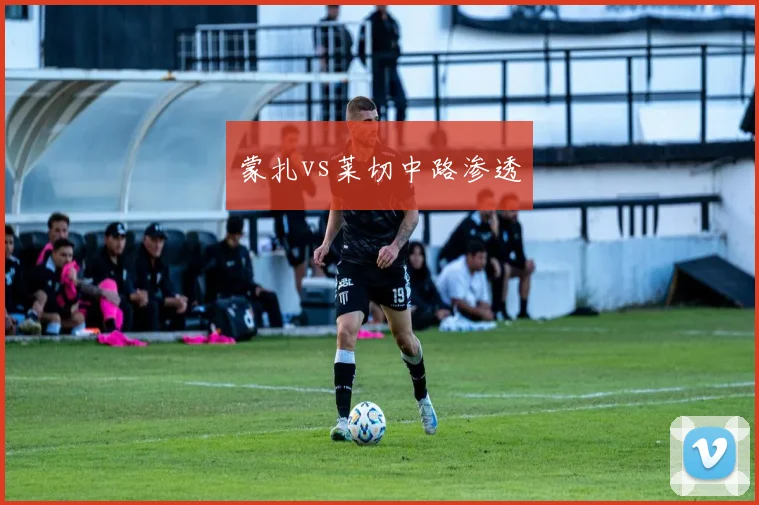 蒙扎vs莱切中路渗透